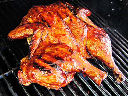 Free Range Seasoned Chickens + THE BEST TASTING CHICKENS !